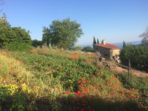 la-cava-ferinehaeuser-in-italien