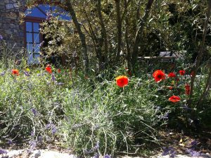 la-cava-localita-monte-felice (2