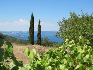 la-cava- localita-monte-felice