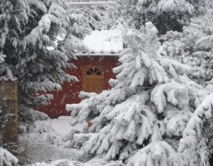 LA-CAVA-Gartenhaus-im-Winter