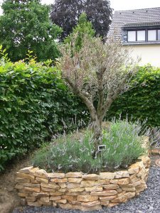 LA-CAVA-Naturstein-Olive-Lavendel