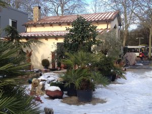 LA-CAVA-ausstellungsgarten-im-winter