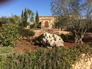 LA-CAVA-mediterrane-Gartenanlage