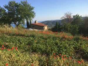 a-cava-ferienhaus-casa-torretta