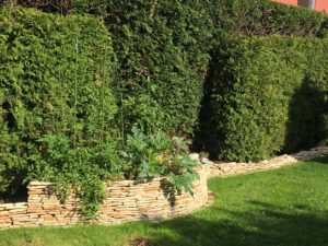 LA-CAVA-Hochbeet-aus-Scorzetta
